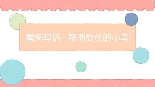 看图写话受伤的小鸟二年级