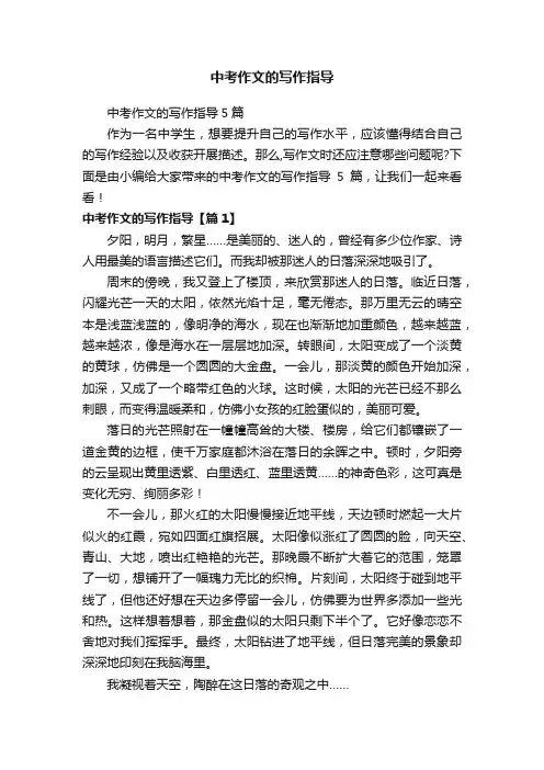 中考作文的写作指导5篇