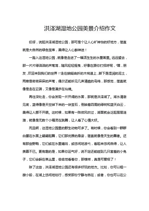 洪泽湖湿地公园美景介绍作文