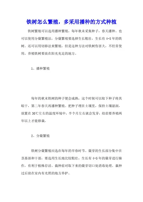 铁树怎么繁殖,多采用播种的方式种植