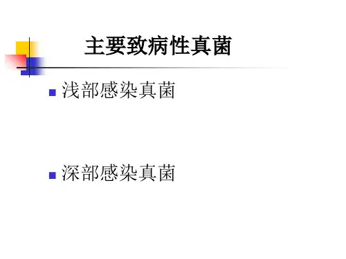 医学-浅部感染真菌深部感染真菌