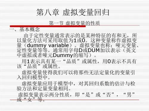 虚拟变量-文档资料