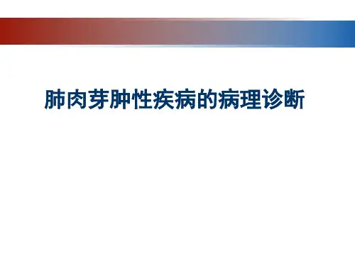 肺肉芽肿性疾病的病理诊断