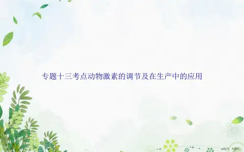 专题十三考点动物激素的调节及在生产中的应用讲课文档