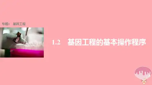 高中生物 专题1 细胞工程 1.2 基因工程的基本操作程序课件 新人教版选修3