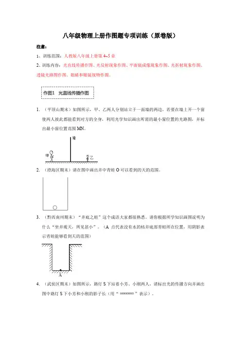八年级物理上册作图题专项训练(原卷版)