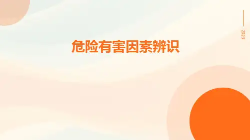 危险有害因素辨识