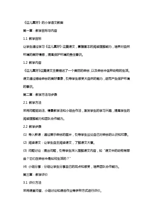 《这儿真好》的小学语文教案