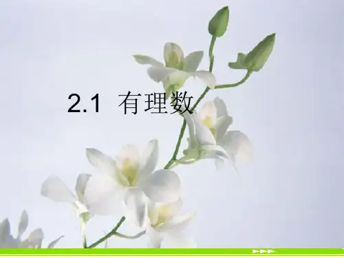 华师大版七年级数学上2.1有理数课件(共12张PPT)