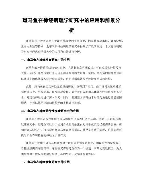 斑马鱼在神经病理学研究中的应用和前景分析