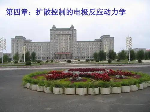 第4章 扩散控制的电极反应动力学
