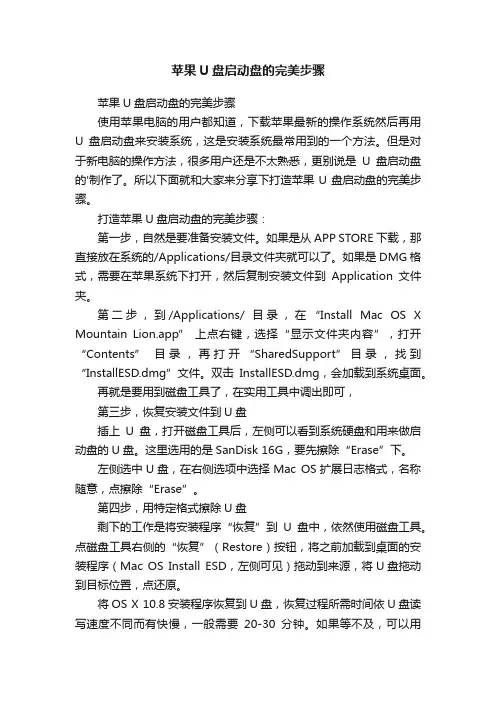 苹果U盘启动盘的完美步骤