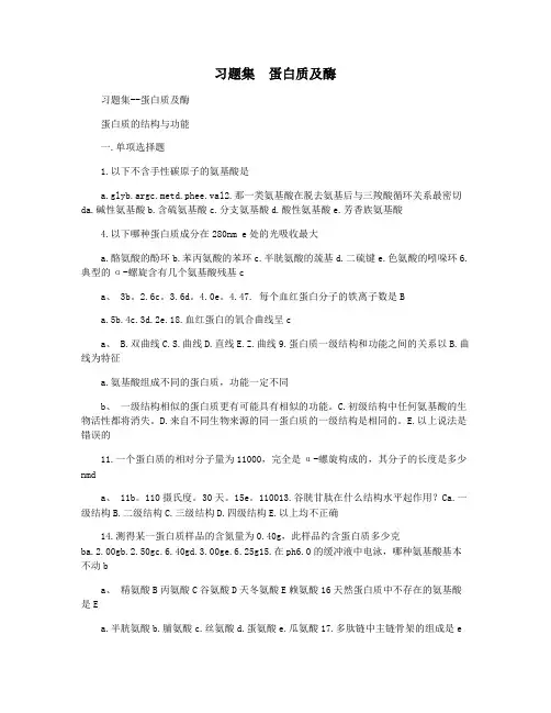习题集  蛋白质及酶