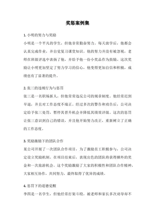 奖惩案例集
