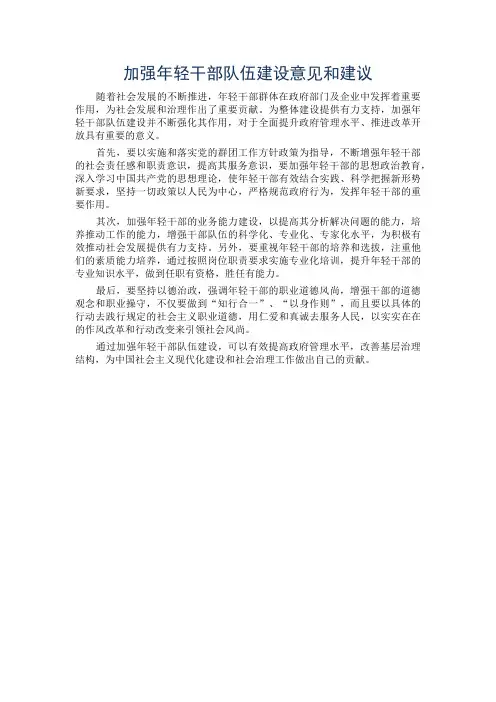 加强年轻干部队伍建设意见和建议