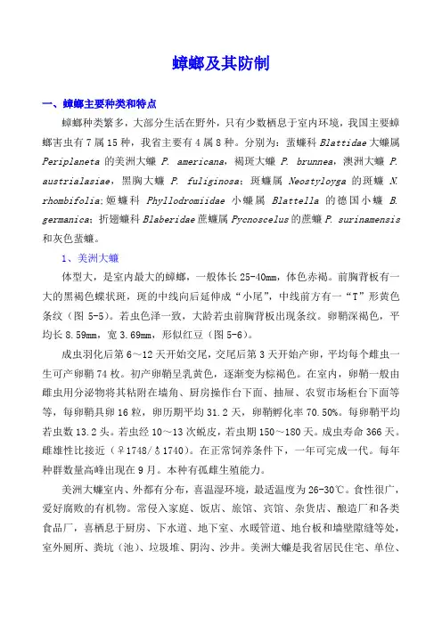 蟑螂主要种类和特点-广东疾病预防控制中心
