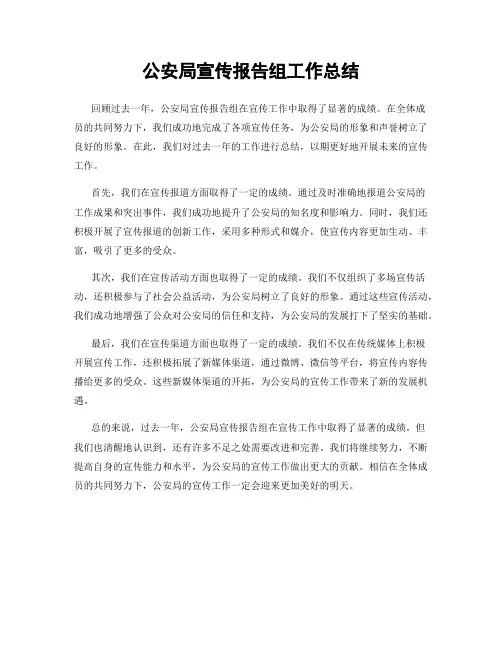 公安局宣传报告组工作总结