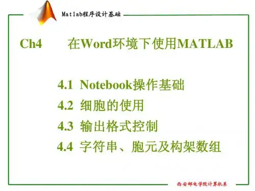 MATLAB语言基础  ch4在Word环境下使用MATLAB