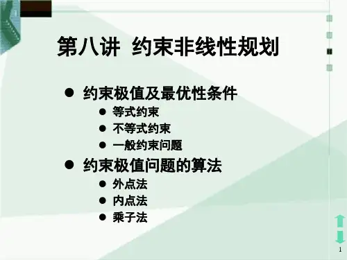 约束非线性规划讲解