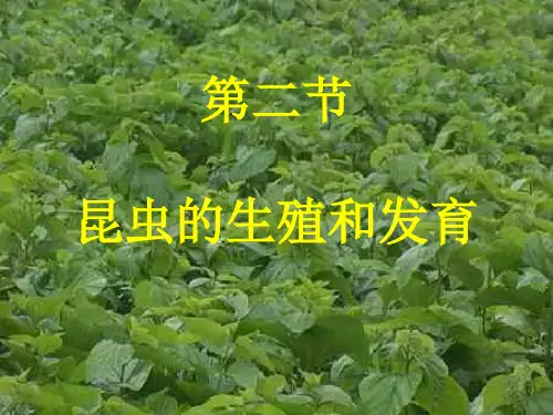 昆虫的生殖和发育