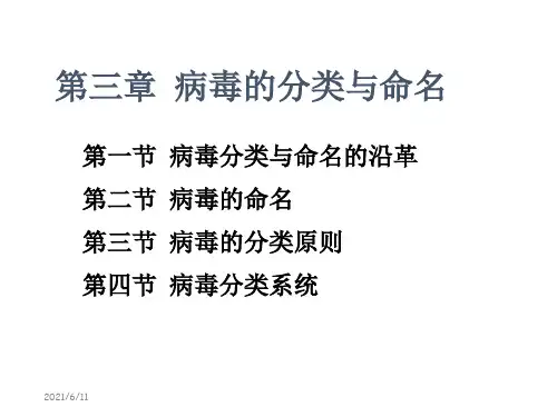 病毒学第三章 病毒的分类与命名