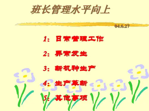 班长管理水平提升培训.pptx