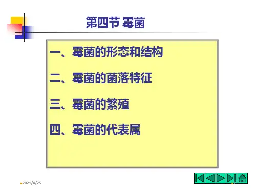 《霉菌的形态和结构》PPT课件