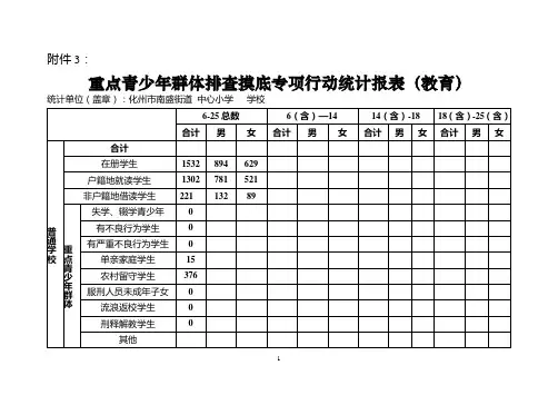 重点青少年群体排查摸底专项行动统计报表 (2)