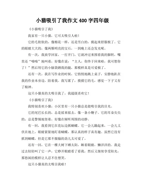 小猫吸引了我作文400字四年级
