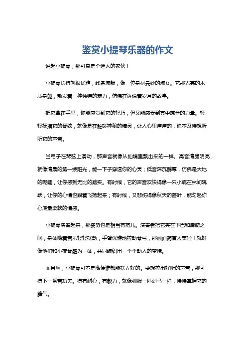 鉴赏小提琴乐器的作文