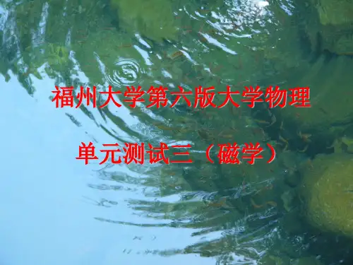 大学物理规范作业A31(磁学单元测试)