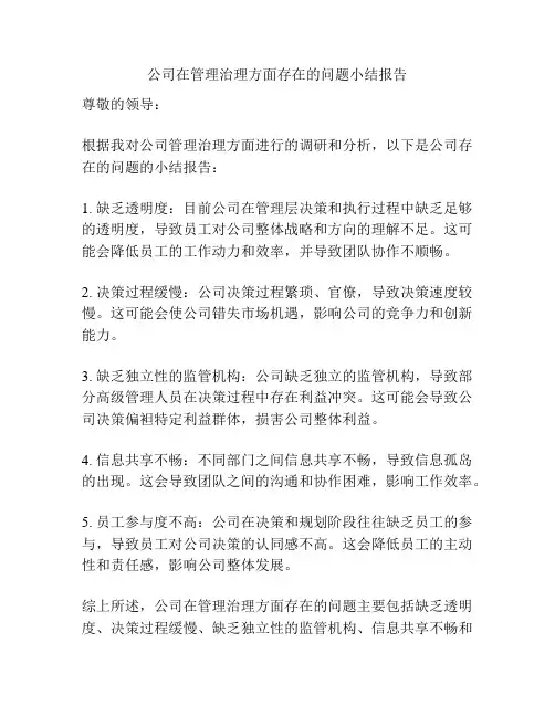 公司在管理治理方面存在的问题小结报告