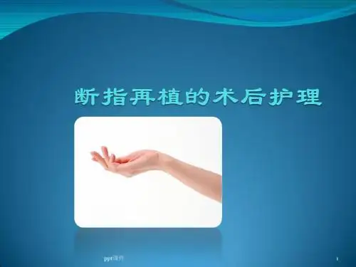 断指再植的术后护理  ppt课件