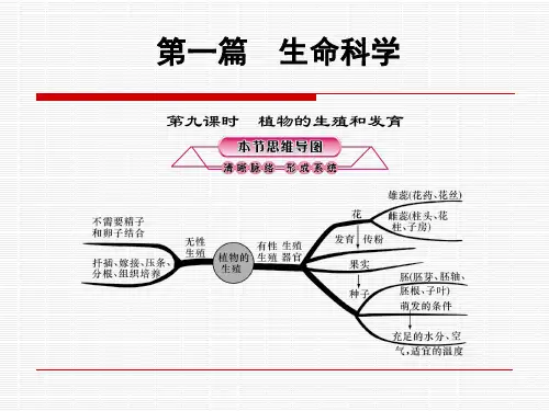 生命科学——第9课时：植物的生殖和发育