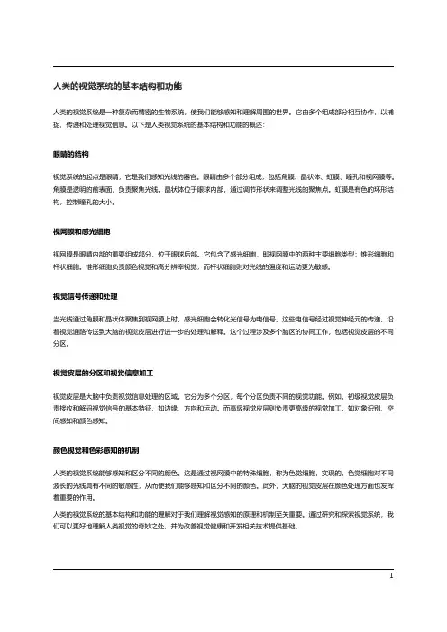 人类的视觉系统