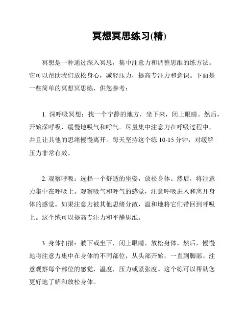 冥想冥思练习(精)