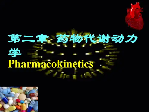 药物代谢动力学