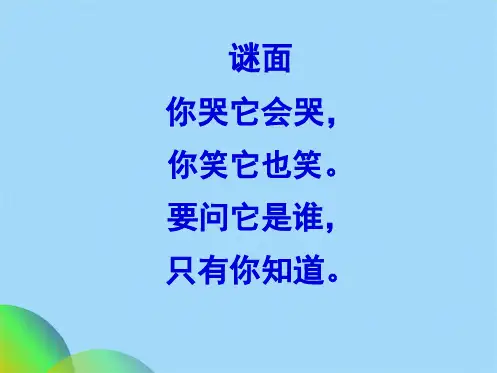 小花猫照镜子(共24张PPT)