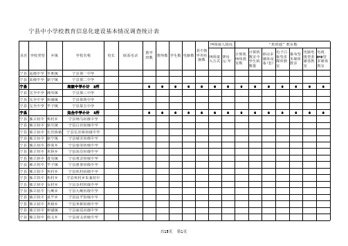 宁县中小学校教育信息化建设基本情况调查统计表(张塬畔)