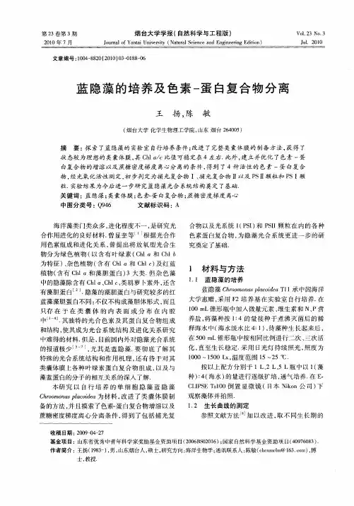 蓝隐藻的培养及色素-蛋白复合物分离