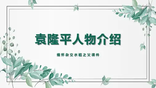 素雅简约风杂交水稻之父袁隆平人物介绍PPT模板