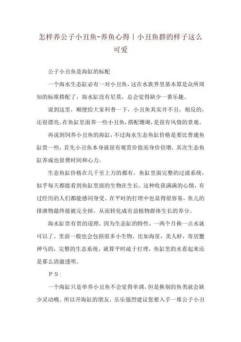 怎样养公子小丑鱼-养鱼心得｜小丑鱼群的样子这么可爱