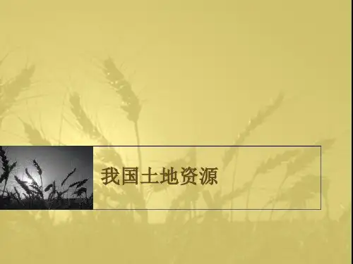 我国土地资源现状