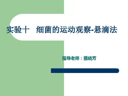 实验十 细菌的运动