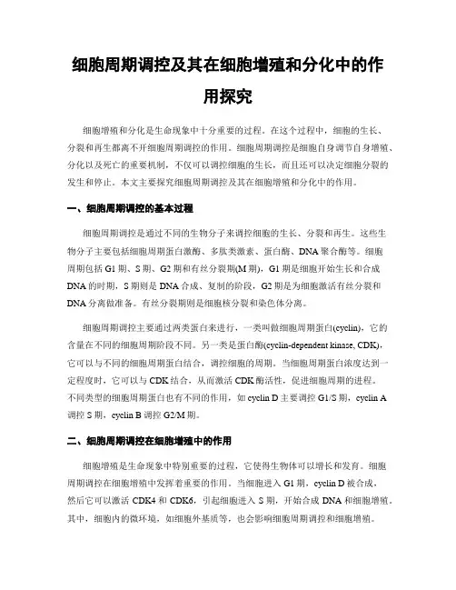 细胞周期调控及其在细胞增殖和分化中的作用探究