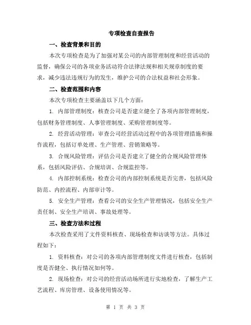 专项检查自查报告