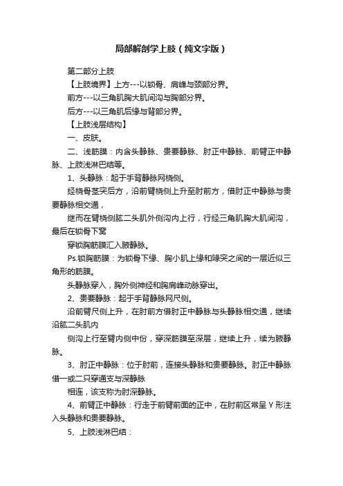 局部解剖学上肢（纯文字版）