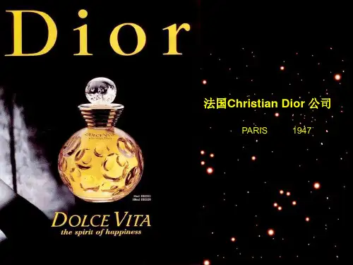 Dior公司战略管理