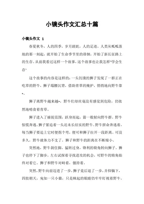 小镜头作文汇总十篇
