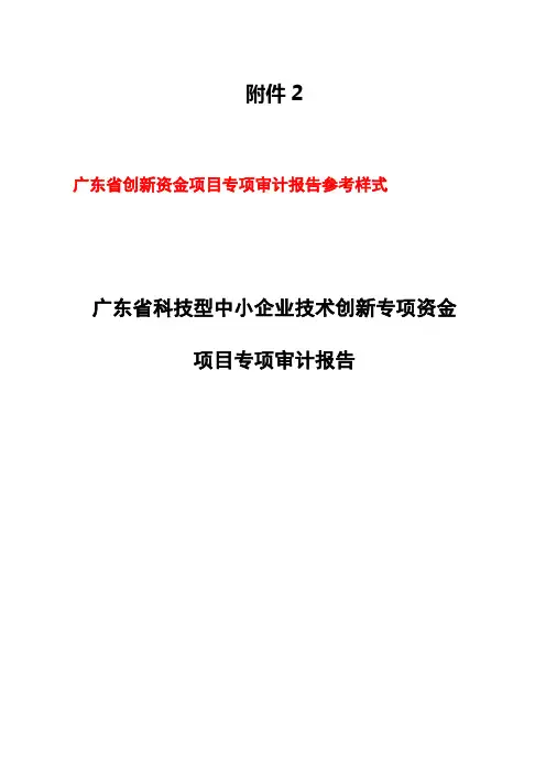 广东省创新资金项目专项审计报告参考样式 